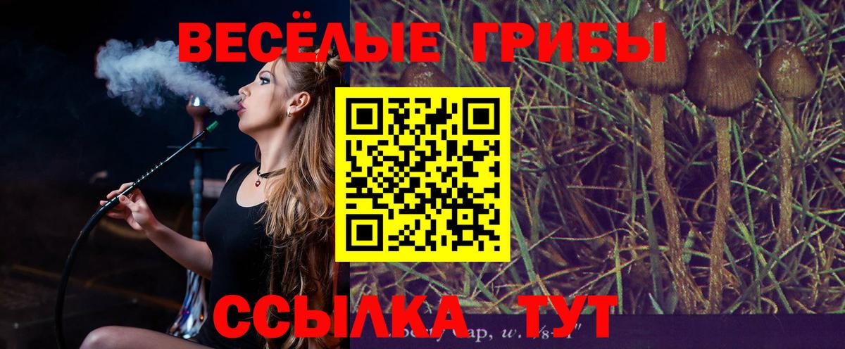 Карачаевск  Галлюциногенные грибы Cubensis  Вход с VPN  Галлюциногенные грибы Magic Shrooms 