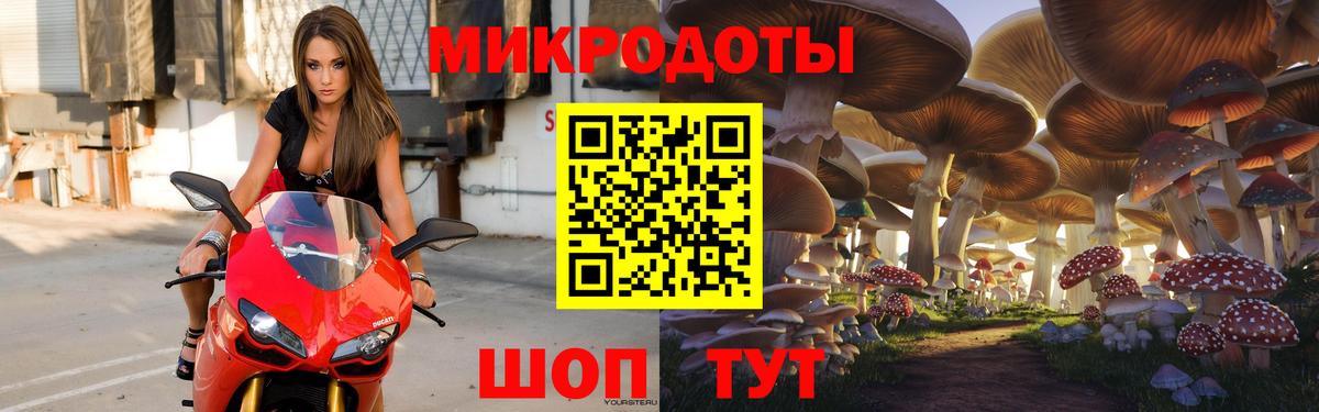 Псилоцибиновые грибы ЛСД Карачаевск